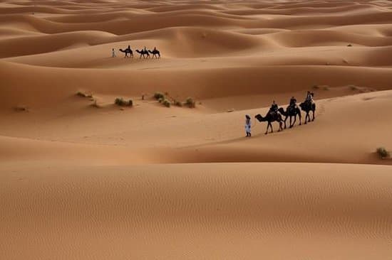Sabor Del Sahara